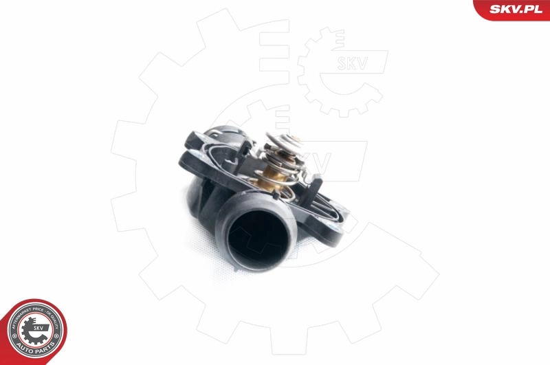 Thermostat, coolant